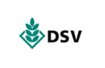 dsv