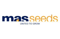 masseeds